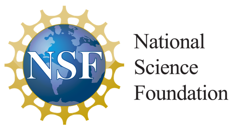 National Science Foundation logo with word mark